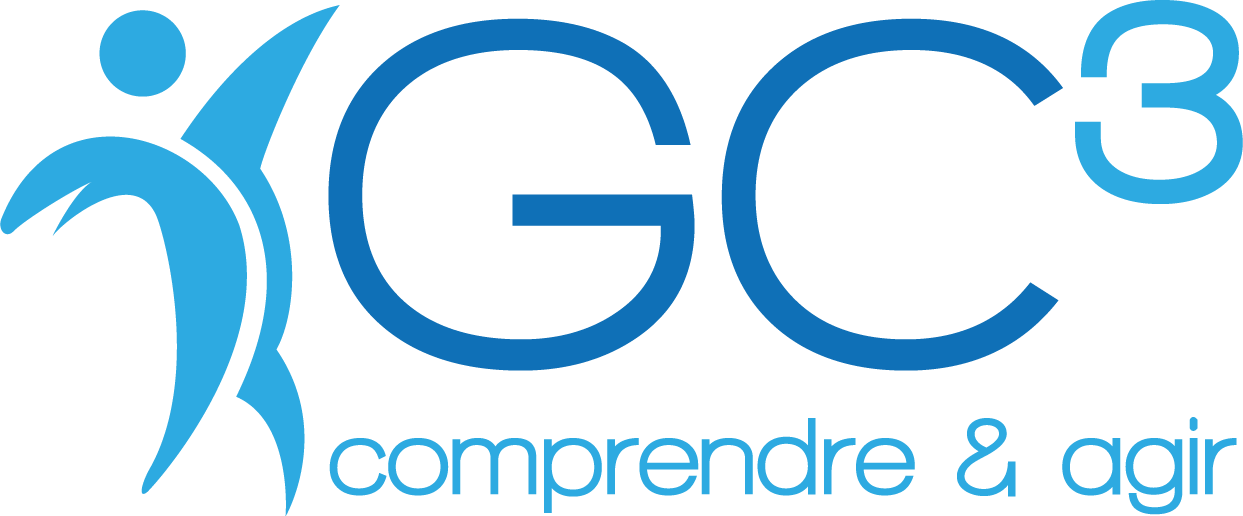 GC3 Gilles Croset consultant partenaire comonimage QVT
